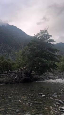 A person stands on the rocky bank of a clear river in a mountainous area. A large fallen tree lies on the bank. The sky is overcast.