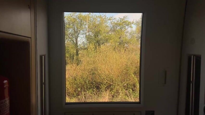 The video shows a view through a train window. The outside scenery consists primarily of fields and trees. The fields are green with visible tracks, possibly from farm equipment. The trees are sparsely leaved, indicating early spring or late fall. The sky is visible in the background, appearing blue with some light clouds. The train is moving, as the scenery is continuously changing. The interior of the train is visible around the window, showing neutral-colored walls and a compartment with a red fire extinguisher.