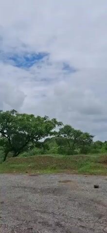 The video shows a view of a green landscape with trees and vegetation under a cloudy sky. The camera is moving, panning across the scene, and the perspective shifts as it moves. In the foreground, there is a dirt or gravel path. Lush green trees with full canopies are visible, some with large leaves. The terrain appears hilly or sloped, with more greenery in the background. Banana plants with their characteristic large leaves are also present. The sky is a mix of blue and white clouds. The overall impression is of a natural, possibly tropical or subtropical, environment. There are no people or animals visible in the video.