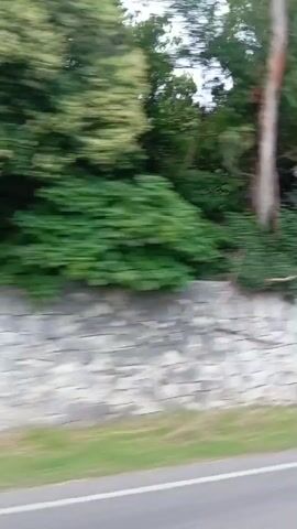 The video shows a fast-moving shot of a stone wall next to a line of trees. The camera is moving forward, suggesting the footage was taken from a vehicle. There are no people visible in the video. The stone wall is made of irregularly shaped, light-colored stones. Above the wall, there is dense green foliage from trees and bushes. The blur of the movement indicates a high speed of travel. The lighting suggests it is daytime.