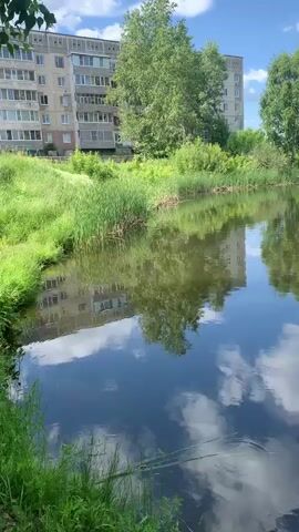 A natural body of water is shown, with a reflection of the sky and surrounding trees. A tall building is visible in the background, and green foliage lines the shore. The sky is blue with scattered white clouds. The video pans slightly across the water, showing ripples on the surface.