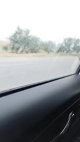 The video, filmed from inside a vehicle, shows a roadside landscape. The foreground is dominated by the dark interior of a car door. Beyond the windshield, a gray asphalt road stretches into the distance. On either side of the road, dry, light-colored vegetation and scattered trees are visible under a cloudy sky. The trees appear sparse and some have bare branches, suggesting a dry or transitional season. The overall impression is one of a rural or semi-arid environment.