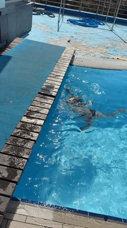 Sunny afternoon at a rooftop pool in Sevastopol