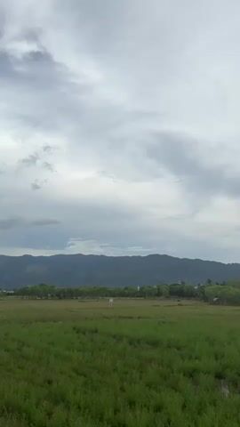 A vertical, wide shot shows a cloudy sky over a landscape of green fields and distant mountains. The clouds are mostly white and gray, with some darker areas suggesting rain. The fields are lush and green, with some patches of dry grass. A line of trees runs along the horizon, separating the fields from the mountains. There are a few small buildings visible among the trees, and a white sign stands in the middle of a field. The mountains are dark green and appear to be covered in vegetation. The overall impression is one of a natural, rural environment.