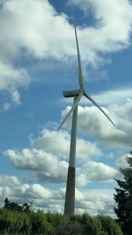 The video shows a close-up, low-angle shot of a large white wind turbine against a bright blue sky filled with fluffy white clouds. The turbine's three blades are spread out, with one pointing upwards and the other two angled downwards and to the sides. The nacelle, the housing for the turbine's components, is visible at the top of the tower. The tower itself is white and tapers slightly towards the top, with a darker, textured base. To the right of the turbine, a dark green evergreen tree with dense foliage partially obscures the view. In the foreground, there are glimpses of green foliage and the tops of other trees. Further in the background, another, smaller wind turbine can be seen in the distance. The camera appears to be moving slightly, giving a sense of passing by the turbine.