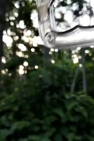 The video depicts a scene of lush green foliage whizzing by, apparently filmed from a moving vehicle. Sunlight filters through the trees, creating bright and diffused light patches. The vegetation includes various types of trees and dense undergrowth, suggesting a forested or jungle-like environment. The camera is in motion, and the speed creates a blurry effect, making it difficult to discern specific details. The overall impression is that of a rapid passage through a dense, natural setting.