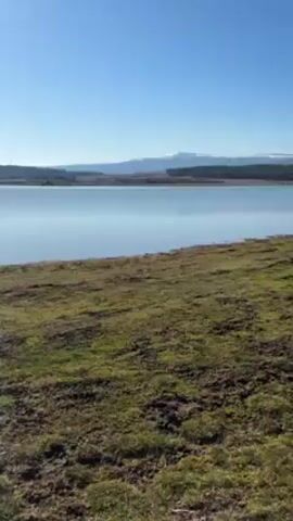 The camera pans slowly across a grassy area toward a calm lake under a clear blue sky. In the distance, mountains with snow-capped peaks are visible. The grass along the shore is a mixture of green and brown, and there are tire tracks visible in the dirt.  There are some trees on the right side of the frame. The lake reflects the sky.