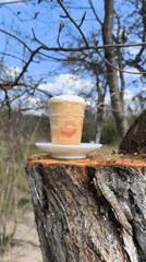 Lipstick-marked ice cream cone documented in rural Belarus field setting