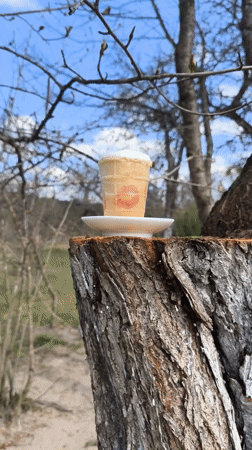 Lipstick-marked ice cream cone documented in rural Belarus field setting