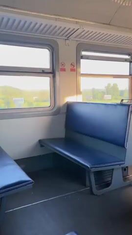 The video shows the interior of a train car with blue upholstered seats. Sunlight streams in through the windows, illuminating the seats and casting shadows on the floor. The view outside the windows reveals a green, rural landscape with trees and fields. There are no people visible in the train car. The video is a static shot, with no discernible movement within the frame.