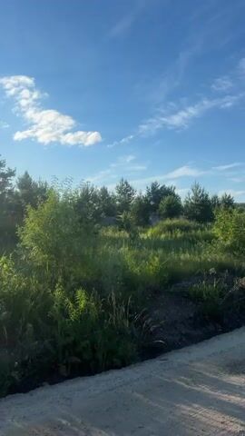 This video captures a first-person perspective of a person riding an ATV through a rural landscape in Kolutkino, Russia. The scene is set on a sunny day with a bright blue sky and scattered white clouds. The terrain consists of a dirt road bordered by lush green grass and trees, predominantly coniferous.

The subjects are the rider, visible through the ATV's mirror, wearing dark clothing and gloves, and the ATV itself, which is red. The rider's gloved hand is also visible on the handlebars, suggesting they are actively controlling the vehicle. The activity is ATV riding, likely for recreation, given the scenic environment.

Notable details include the time of day, suggested by the bright sunlight and long shadows cast on the road, indicating it's likely late afternoon or early evening. The weather is clearly fair and sunny. The location cues are the presence of coniferous trees, dense green vegetation, a dirt road, and a glimpse of houses in the distance, all consistent with a Russian countryside setting. The overall emotion conveyed is one of freedom and enjoyment of the outdoors. No visible text is present in the video.