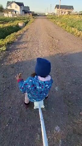 A low angle video shows a toddler, wearing a dark blue beanie, colorful jacket, light brown pants, and brown shoes, being pulled on a wheeled riding toy, on a dirt and gravel road. The child is facing away from the camera, holding something in their right hand. Two houses are visible on either side of the road, with green vegetation growing around them. The sky is clear and blue.