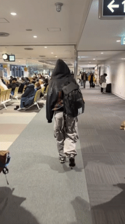 Travelers observed departing from New Chitose Airport, Japan