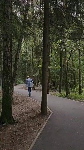A person walks down a paved path that curves through a dense forest. The path is lined with trees on both sides. The person is wearing a light-colored jacket and jeans and is carrying a bag over their shoulder. The forest is lush with green foliage, and the ground is covered with fallen leaves and debris. The lighting is dim, suggesting an overcast day or the shade of the trees. The path appears to be in a park or a recreational area.