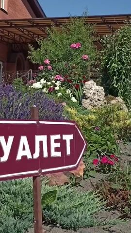 The video begins with a close-up of a burgundy sign with white lettering that reads "ТУАЛЕТ" (Toilet) in Russian, pointing to the right. The sign is on a post in front of a garden. Behind the sign is a lush garden with blooming lavender, roses of various colors (pink, white, and red), and other greenery. A large rock is visible in the foreground. The camera then pans to the left, revealing a modern building with a red brick facade and a glass entrance. A covered walkway with a brown roof extends from the building. Two white spherical outdoor lights are placed on a stone walkway. The camera continues to pan across the garden, showcasing more flowers, rocks, and trees. The sky is clear and blue. The overall scene depicts an exterior view of a building with a well-maintained garden and clear signage for a restroom.