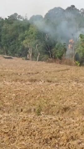 The video shows a landscape with dry, plowed fields in the foreground and a dense forest in the background. There is smoke rising from the edge of the forest, indicating a fire. The sky is overcast, and the overall lighting suggests it is either early morning or late afternoon. There are no people visible in the video. The dry fields appear to have been recently harvested or prepared for planting. The smoke is white and billowy, suggesting a controlled burn or a small wildfire. The trees in the forest are lush and green, providing a stark contrast to the dry fields.