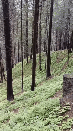 Manali, India