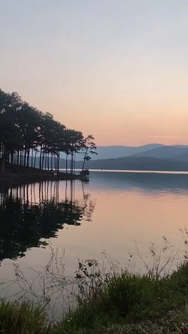 The video shows a tranquil lakeside scene at dawn or dusk. The sky transitions from a pale pink near the horizon to a light blue overhead. The lake is calm with gentle ripples, reflecting the colors of the sky and the silhouettes of trees on the shoreline. A line of tall, thin trees stands along the edge of the lake, and their dark reflections are mirrored in the still water. In the distance, a range of hills is visible, fading into the hazy sky. Some vegetation and grasses are seen on the immediate shoreline in the foreground.