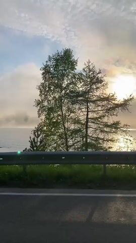 The video shows a view from a moving vehicle, likely a car, looking out towards a body of water and trees. A metal guardrail is visible in the foreground, separating the road from the embankment. The sun is low in the sky, casting a warm glow and creating lens flare through the trees. Mist or fog hovers over the water, creating a hazy, ethereal atmosphere. The trees on the right side of the frame are dense, with some sunlight filtering through their leaves. The overall impression is of a serene and scenic landscape captured during a drive.