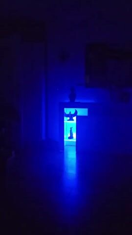 The video begins with a dark blue lit room. A doorway in the center of the screen is illuminated with bright blue light, revealing silhouettes of two animal figurines and a crescent moon decoration on a shelf. The camera then pans up to a chandelier, which is also lit with blue light and has a disco ball effect of light reflections. The camera then pans back down to the doorway, then up to the chandelier again, and finally pans up to the ceiling, which is also illuminated with blue light and the disco ball effect. The video ends with a shot of the blue lit ceiling.