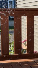 Soap bubbles float across a sunny backyard deck in Dieppe