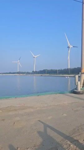 The video captures a serene landscape featuring three wind turbines positioned in the distance across a body of calm water. The turbines are tall, white structures with three blades each, and they appear to be rotating slowly against a clear blue sky. In the foreground, there is a concrete or paved area, possibly a pier or walkway, with a light-colored surface. A shadow of an unseen object, likely a pole or a railing, is cast across this surface. The edge of the water is lined with a green net or fabric. The overall atmosphere is peaceful and suggests an open, possibly coastal or lakeside environment. No people are visible in the frame.