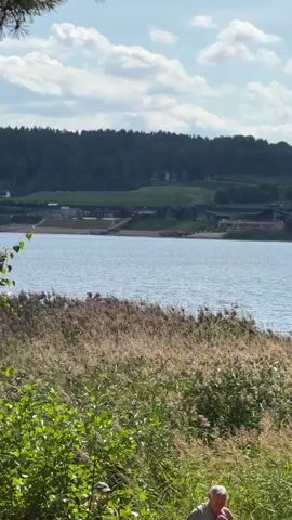 The video shows a body of water with a tree-covered hill in the background. In the foreground, tall reeds grow along the shoreline, with some green bushes and trees to the left and right. A jet ski with two people on it is speeding across the water, leaving a wake. A bald man in the foreground is looking towards the water. The sky is cloudy.