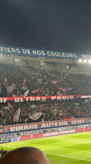 Night soccer match draws animated crowd in Paris stadium