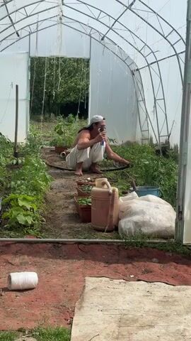 The video shows a greenhouse interior. A person in white pants and a white cap is squatting amongst the plants, appearing to tend to them. They hold a drink in their hand. There is a watering can, some pots, and a white bag nearby. The greenhouse is filled with plants, and the door is open, revealing trees in the background. A roll of twine sits on the ground in the foreground. The floor is primarily red dirt with some grass.