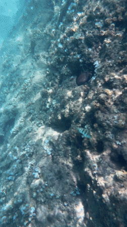 Morning beach activities documented in Choeng Thale, Thailand
