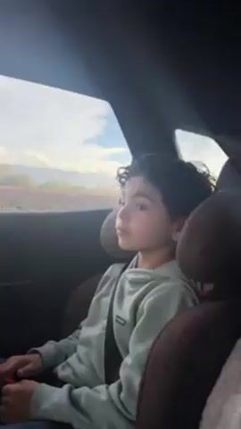 The video shows a young boy with dark curly hair, wearing a light green sweatshirt, seated in a brown car seat. He is looking out the window, which shows a landscape with fields or vegetation under a bright sky.  The boy is wearing a seatbelt. The interior of the car is visible, including the dark ceiling and parts of the other seats. A voice speaks in the background, apparently discussing the scenery outside the window.