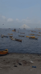 Fishing boats gather near Bandra-Worli Sea Link during overcast morning