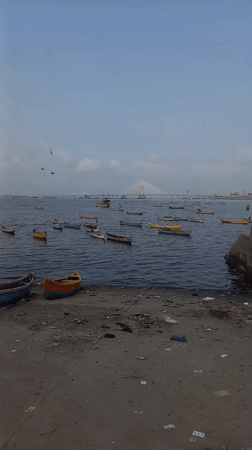 Fishing boats gather near Bandra-Worli Sea Link during overcast morning
