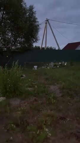 The video is a shaky, handheld nighttime recording of a backyard area. A dark pond or pool of water is visible in the center of the frame, surrounded by grass, dirt, and rocks. There is a green fence in the background, with houses and trees visible beyond it. Some small lights are scattered around the yard, possibly garden lights. The sky is dark with some clouds, and the overall lighting suggests either dusk or dawn. The camera movement is erratic, causing much of the scene to be blurred.