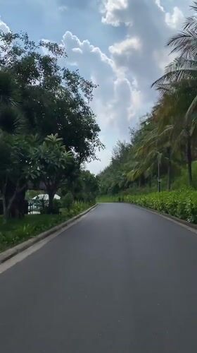 Vehicle travels palm-lined coastal road in Cam Ranh, Vietnam