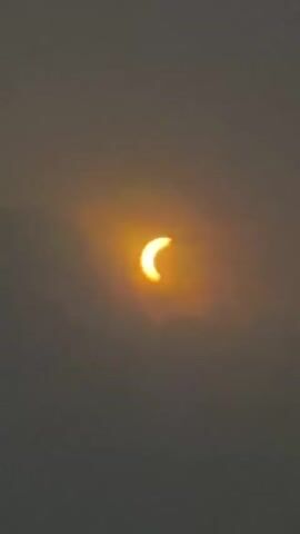 The video begins with a close-up of a solar eclipse, showing a crescent-shaped sun partially obscured by clouds. The image then transitions to a landscape shot of rolling hills and palm trees under a bright sky. The final frames show a French flag waving in the wind above a vehicle and a hedge. The footage appears to be captured from a stationary position.