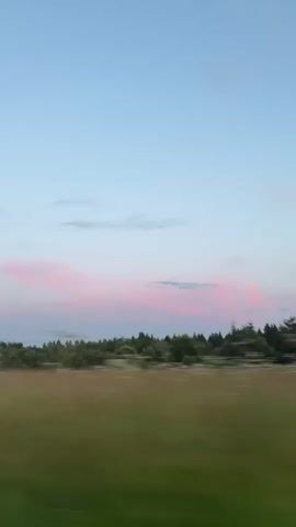 The video shows a landscape with a soft pink and blue sky. There is a line of trees in the middle ground, and a field in the foreground. The camera is moving, causing a blur effect. There are no people or specific objects visible. The environment appears to be rural, possibly during sunset or sunrise due to the colors in the sky.