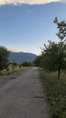 Dawn road scene captured near Sliven, Bulgaria mountains