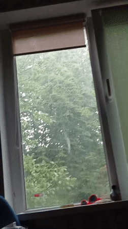 Rainy day window views and food close-ups captured in Poltava