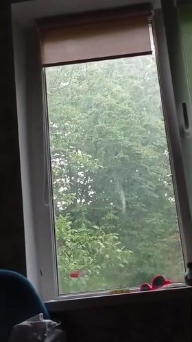 Rainy day window views and food close-ups captured in Poltava