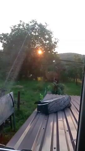 The video shows a view through a window of an outdoor scene at sunset. The sun is visible through the leaves of a large tree, casting a warm glow. In the foreground, a corrugated metal roof is visible, with a log-like object placed on it. A metal bench or table is partially visible on the left. The ground appears to be covered in grass. A thin, vertical pole extends from the ground upwards, and a sprinkler is visible near the top of the pole, emitting a spray of water that catches the sunlight. The overall impression is of a peaceful, rural setting.