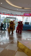 Lion dancers perform Chinese New Year show in Đà Nẵng mall