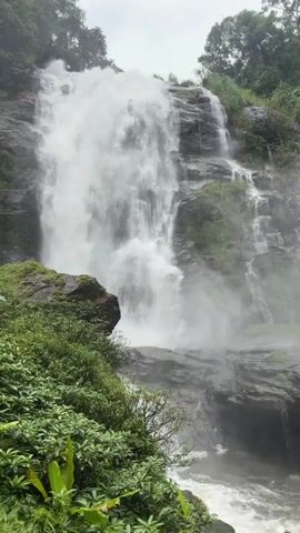 A slow-motion video captures a wide, powerful waterfall cascading down a rocky, lush green mountainside. The water tumbles over multiple ledges, creating a dense mist that partially obscures the upper sections of the falls and the surrounding foliage. The foreground is dominated by dense green plants and leaves, with some larger plants visible on the left. The sky is overcast, suggesting a cloudy or rainy day. The overall impression is one of natural beauty and the raw power of water in a verdant environment. No people or animals are visible.
