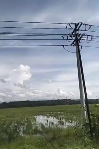 The video appears to be filmed from a moving vehicle, possibly a car or bus, looking out a window. The scene is rural, with a vast expanse of green fields, some of which appear to be flooded or are rice paddies. In the foreground, there is lush green vegetation, including what looks like banana trees and a palm tree. Overhead, a series of power lines crisscross the frame. The sky is partly cloudy with a bright, overcast sky. The movement of the vehicle causes a slight blur in the footage. There are no people clearly visible in the initial shots, but in the later frames, there are glimpses of what appear to be small structures with roofs and railings, suggesting some kind of roadside seating or resting area. These structures have some people sitting in them. The overall impression is a journey through a tropical, agrarian landscape.