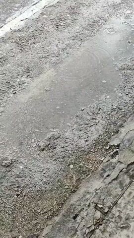 This is a close-up shot of a puddle on a dirt road. Raindrops are visible falling into the puddle, creating ripples on the surface. The surrounding ground is muddy and appears to have tire tracks. The lighting suggests it is daytime, possibly overcast due to the rain. There are no people or other objects visible in the frame.