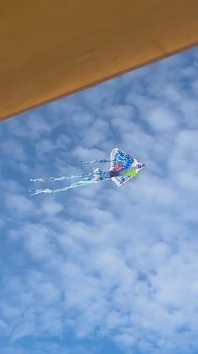 Kites, beach chairs, and Nha Trang streets on a summer day