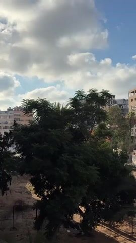 The video shows a medium shot of a large tree with dark green leaves, swaying slightly in the wind. Behind the tree, there are several buildings of varying heights, with some appearing to be under construction or renovation. The sky above is blue with scattered white clouds. The ground in the foreground appears to be dry, dusty earth with some scattered debris. The lighting suggests it is daytime, possibly late afternoon due to the angle of the shadows. There are no people or animals visible in the frame. The overall atmosphere is calm and quiet.