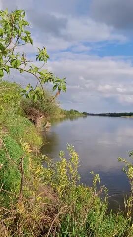 The video shows a river landscape on a partly cloudy day. The river is wide and calm, reflecting the sky. Green foliage lines the banks of the river, partially obscuring the view. The opposite bank is visible in the distance, with trees lining the horizon. There is no visible human activity in the scene.
