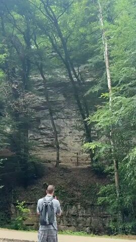 A man wearing a backpack and a t-shirt is standing on a sidewalk in front of a tall rock face with trees and foliage. The man is looking up at the rock face, and appears to be holding a phone or camera. The rock face is layered with different shades of rock and has some vegetation growing on it. There are several trees in front of the rock face, and more trees and foliage can be seen in the background. The scene appears to be in a natural setting, possibly a park or hiking area.