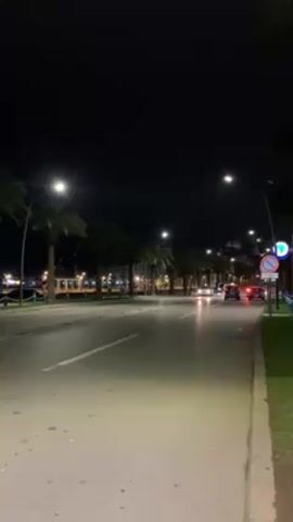 The video depicts a nighttime street scene with sparse traffic. Streetlights illuminate the road, and rows of palm trees line the side. Cars are driving down the street. On the right is a patch of grass next to the road. A blue and white traffic sign is visible.